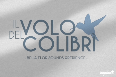 Il volo del colibr&igrave;: logo e coordinata